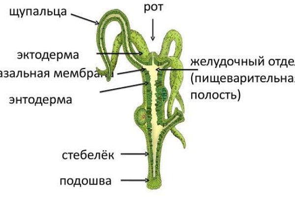 Кракен впн