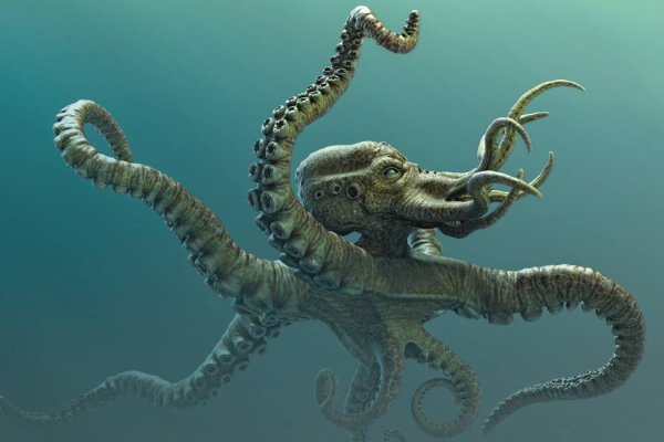 Kraken link